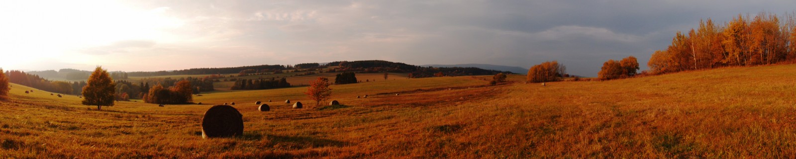 Spolek